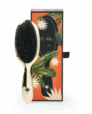 Fan Palm  Hollywood Medium Hos Frisøren   Baronen